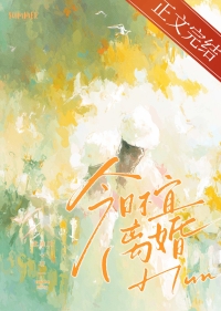 今日不宜离婚小说完结