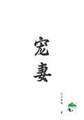 宠妻入骨四爷请低调