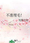 不准掉头电影